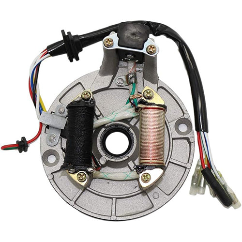 2-Coil Ignition Magneto Stator Plate for 50cc-125cc ATVs and Dirt Bikes by Etoreair Parts