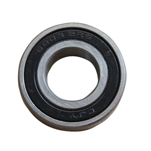 6003 2RS Bearing